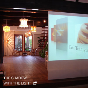 THE SHADOW WITH THE LIGHT