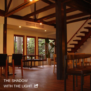 THE SHADOW WITH THE LIGHT