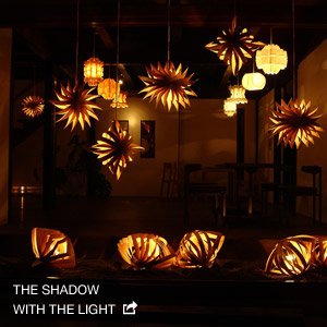 THE SHADOW WITH THE LIGHT