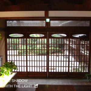 THE SHADOW WITH THE LIGHT