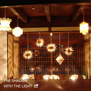 THE SHADOW WITH THE LIGHT