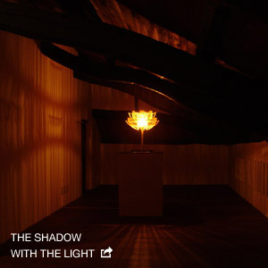 THE SHADOW WITH THE LIGHT
